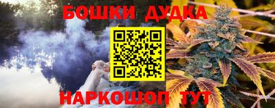 2c-b Лесосибирск