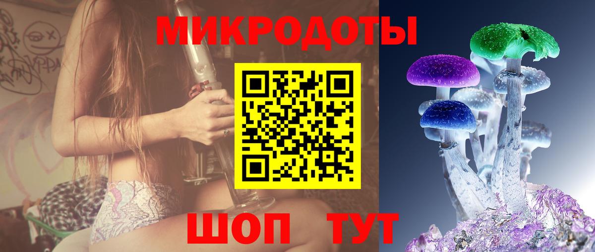 Псилоцибиновые грибы Psilocybe Лянтор